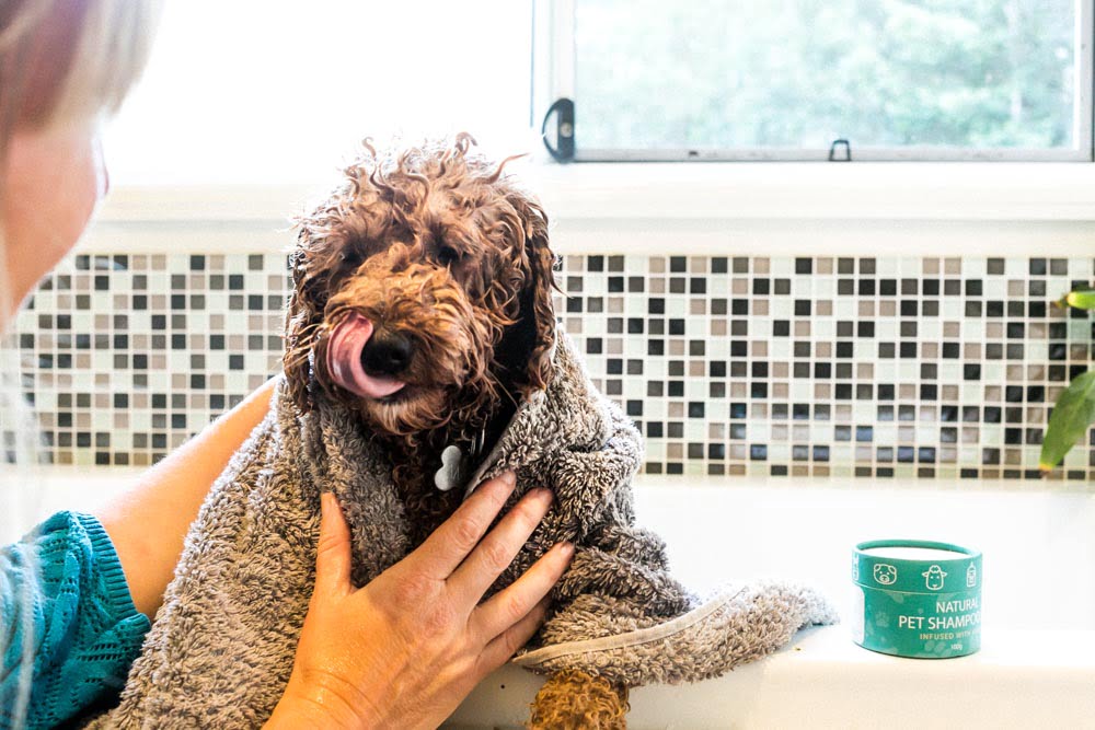Hemp-Shampoo-For-Dogs
