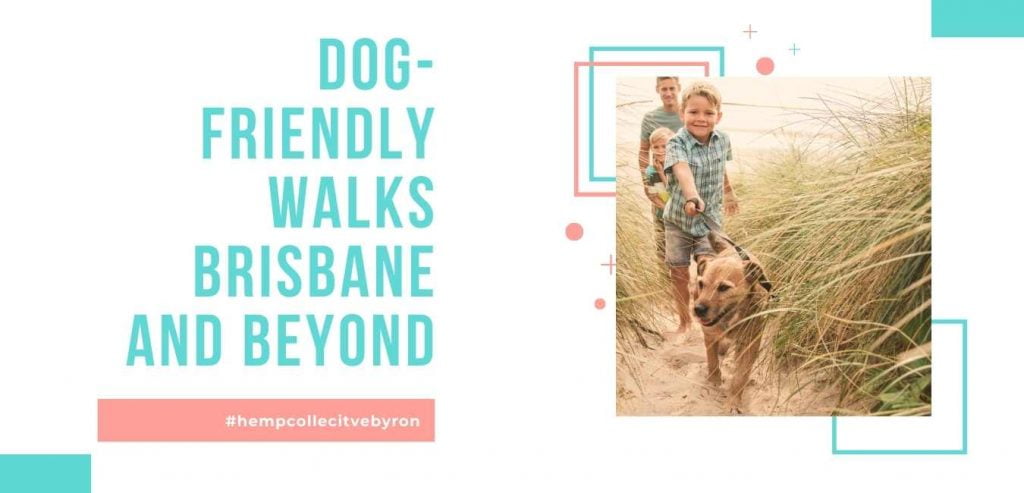 Dog-friendly-walks-Brisbane