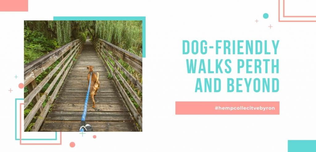 Dog-friendly-walks-Perth